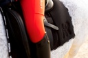 Mini Ros Winter Rijlegging Rood