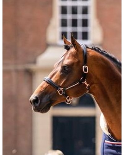 HB Showtime Lederen Halster Rose Gold