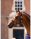 HB Showtime Lederen Halster Rose Gold