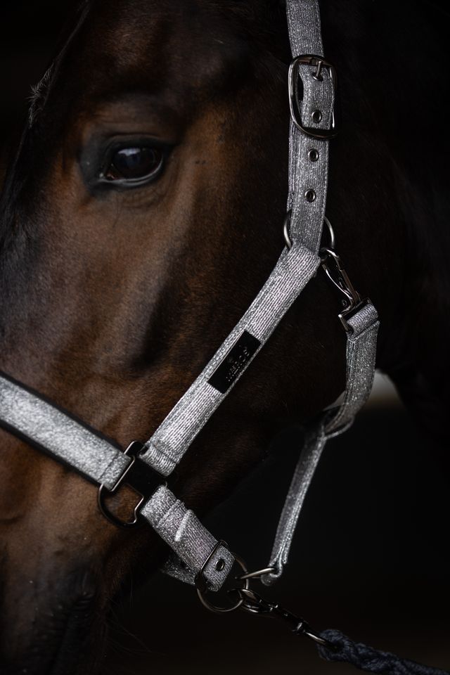 Mrs. Ros Halster Set Festive Grey