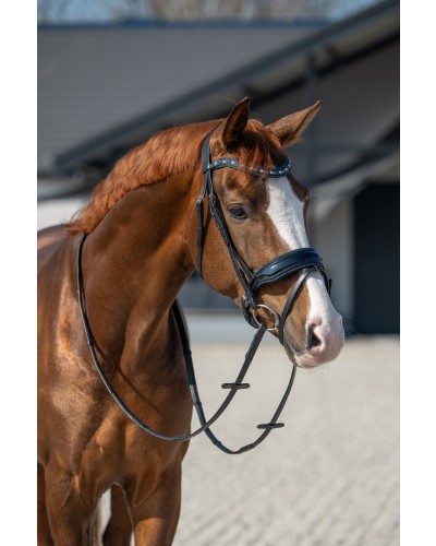 HB Showtime Hoofdstel It is So Special Zwart/Blauw