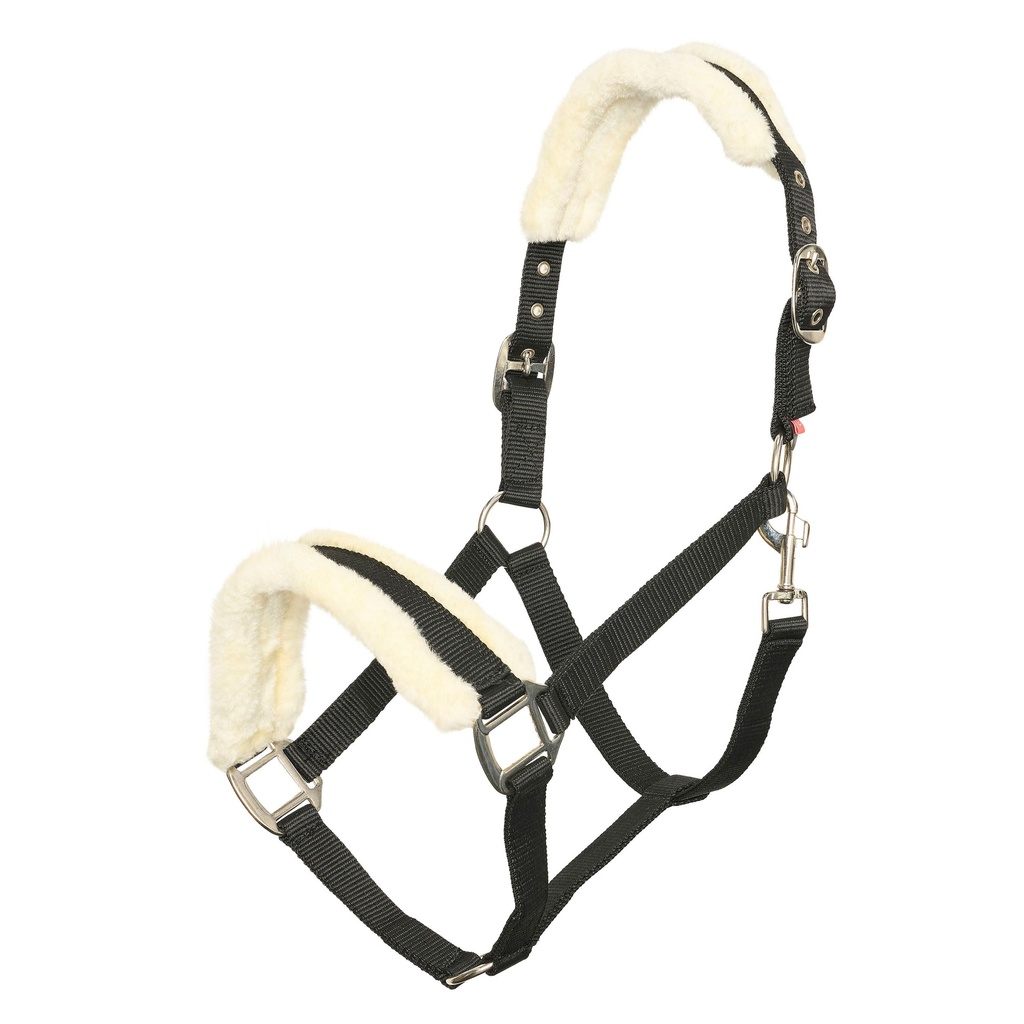 Profi Rider Halster Bont Zwart en Blauw